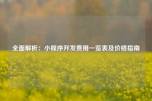 全面解析：小程序开发费用一览表及价格指南