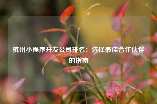 杭州小程序开发公司排名：选择最佳合作伙伴的指南