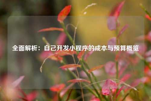 全面解析：自己开发小程序的成本与预算概览