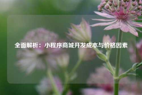 全面解析：小程序商城开发成本与价格因素