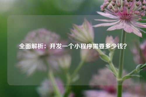 全面解析：开发一个小程序需要多少钱？