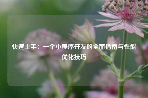 宁波快速上手：一个小程序开发的全面指南与性能优化技巧