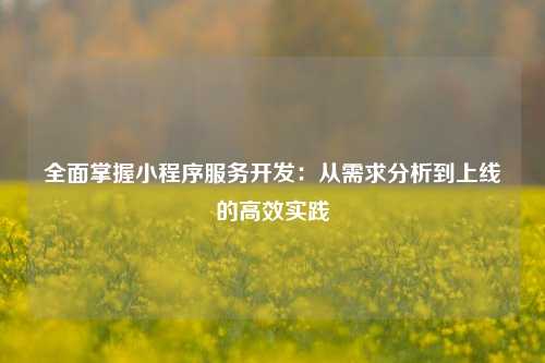 全面掌握小程序服务开发：从需求分析到上线的高效实践