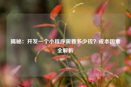 揭秘：开发一个小程序需要多少钱？成本因素全解析