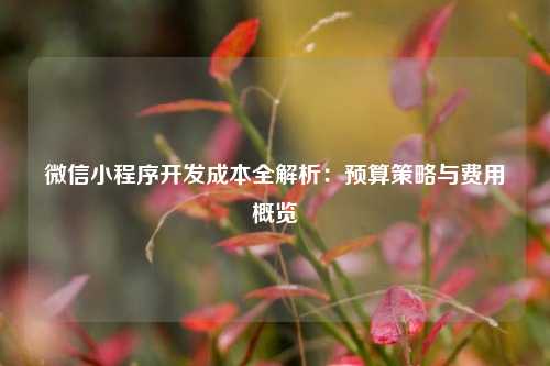 微信小程序开发成本全解析：预算策略与费用概览