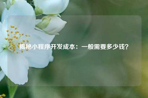 揭秘小程序开发成本：一般需要多少钱？