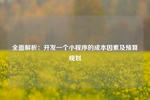 全面解析：开发一个小程序的成本因素及预算规划