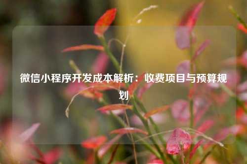 微信小程序开发成本解析：收费项目与预算规划