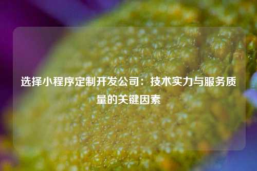 宁波选择小程序定制开发公司:技术实力与服务质量的关键因素