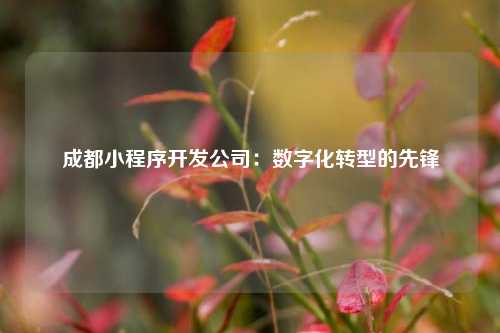 宁波成都小程序开发公司:数字化转型的先锋