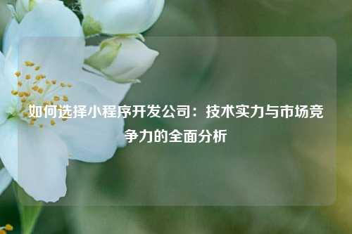 宁波如何选择小程序开发公司：技术实力与市场竞争力的全面分析