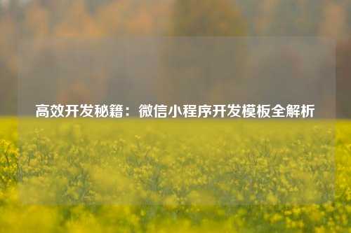 宁波高效开发秘籍:微信小程序开发模板全解析