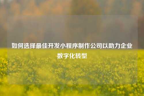 宁波如何选择最佳开发小程序制作公司以助力企业数字化转型