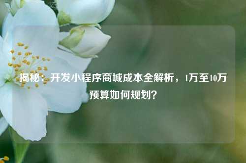 揭秘：开发小程序商城成本全解析，1万至10万预算如何规划？