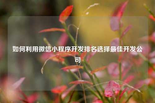宁波如何利用微信小程序开发排名选择最佳开发公司