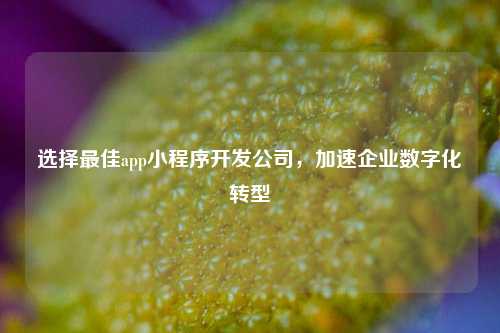 宁波选择最佳app小程序开发公司,加速企业数字化转型