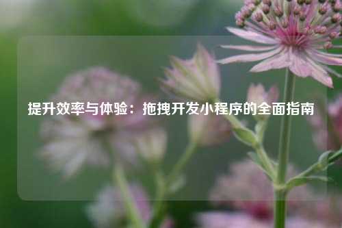 宁波提升效率与体验：拖拽开发小程序的全面指南
