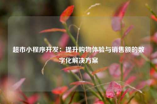 超市小程序开发：提升购物体验与销售额的数字化解决方案