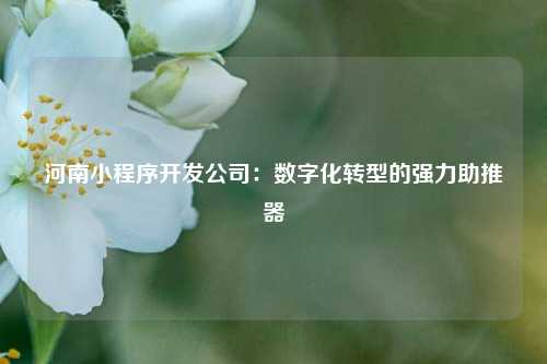 宁波河南小程序开发公司:数字化转型的强力助推器
