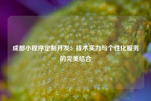 宁波成都小程序定制开发：技术实力与个性化服务的完美结合