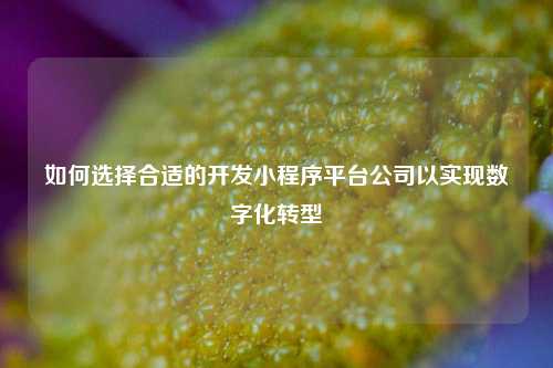 如何选择合适的开发小程序平台公司以实现数字化转型