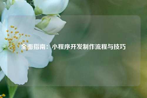 全面指南：小程序开发制作流程与技巧