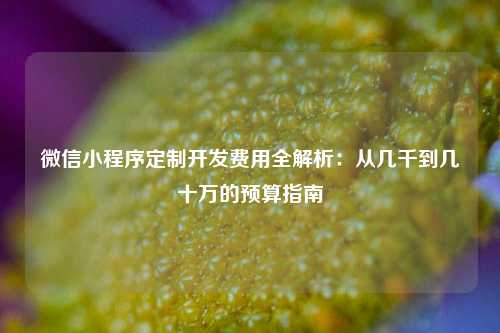 宁波微信小程序定制开发费用全解析:从几千到几十万的预算指南