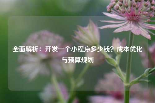 全面解析：开发一个小程序多少钱？成本优化与预算规划