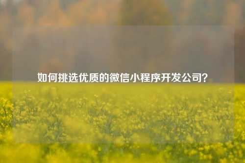 宁波如何挑选优质的微信小程序开发公司？