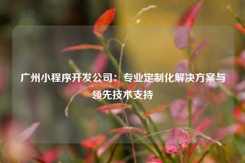 宁波广州小程序开发公司:专业定制化解决方案与领先技术支持