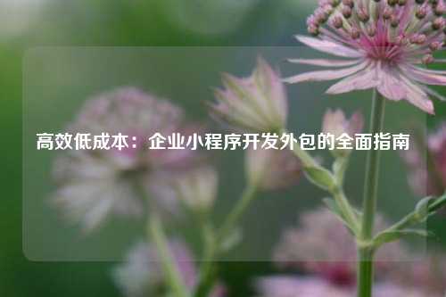 高效低成本：企业小程序开发外包的全面指南