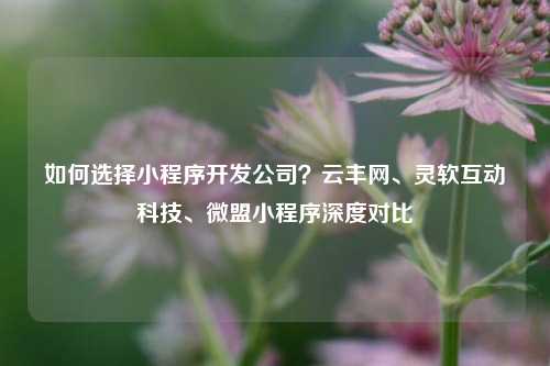 宁波如何选择小程序开发公司?云丰网、灵软互动科技、微盟小程序深度对比