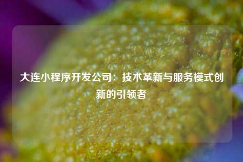 宁波大连小程序开发公司：技术革新与服务模式创新的引领者