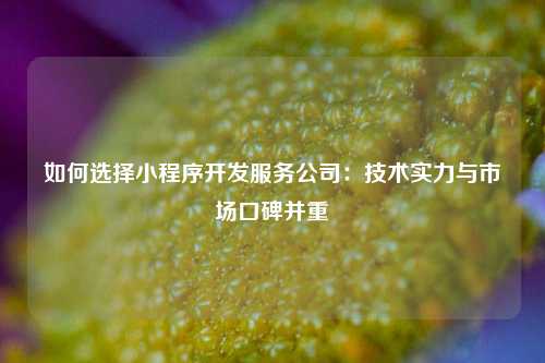 宁波如何选择小程序开发服务公司:技术实力与市场口碑并重