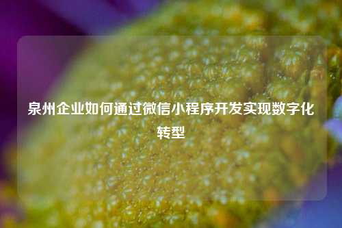 宁波泉州企业如何通过微信小程序开发实现数字化转型