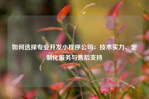 宁波如何选择专业开发小程序公司：技术实力、定制化服务与售后支持
