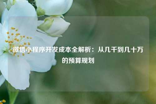 微信小程序开发成本全解析：从几千到几十万的预算规划