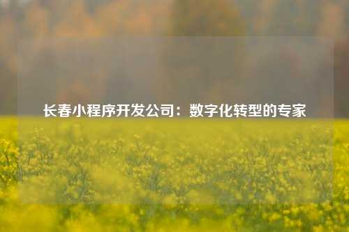 宁波长春小程序开发公司：数字化转型的专家