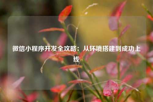 宁波微信小程序开发全攻略:从环境搭建到成功上线