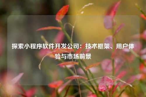 宁波探索小程序软件开发公司：技术框架、用户体验与市场前景