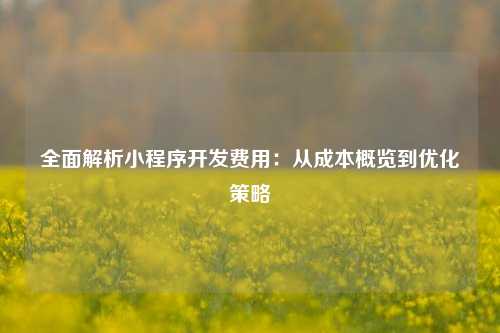 宁波全面解析小程序开发费用:从成本概览到优化策略