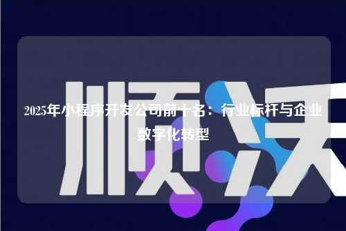 宁波2025年小程序开发公司前十名：行业标杆与企业数字化转型
