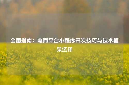 宁波全面指南:电商平台小程序开发技巧与技术框架选择