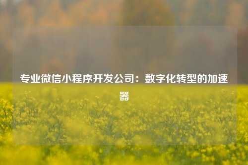 专业微信小程序开发公司：数字化转型的加速器