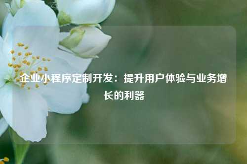 宁波企业小程序定制开发:提升用户体验与业务增长的利器