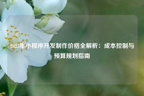 宁波2025年小程序开发制作价格全解析:成本控制与预算规划指南