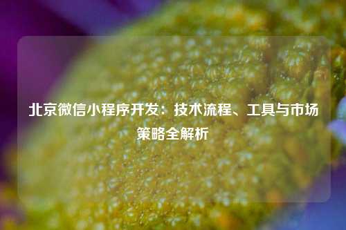 宁波北京微信小程序开发：技术流程、工具与市场策略全解析