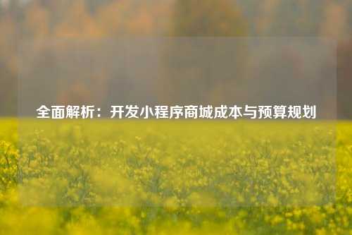 宁波全面解析:开发小程序商城成本与预算规划