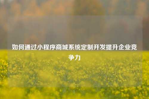 宁波如何通过小程序商城系统定制开发提升企业竞争力