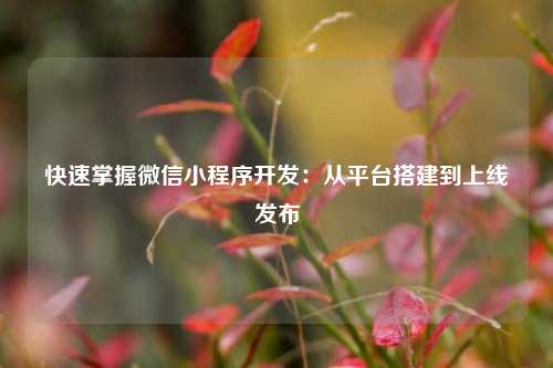 快速掌握微信小程序开发：从平台搭建到上线发布